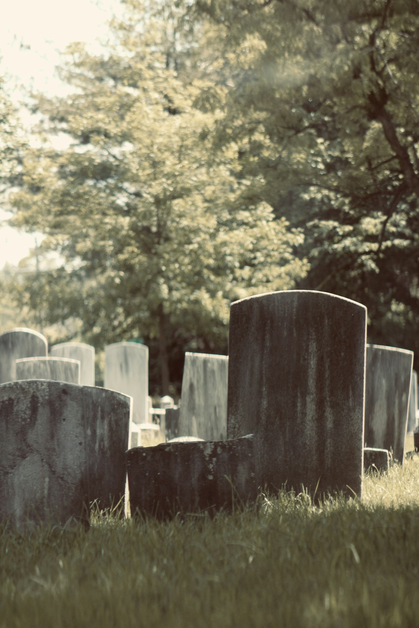 A cemetery with a bunch of headstones in the grass.