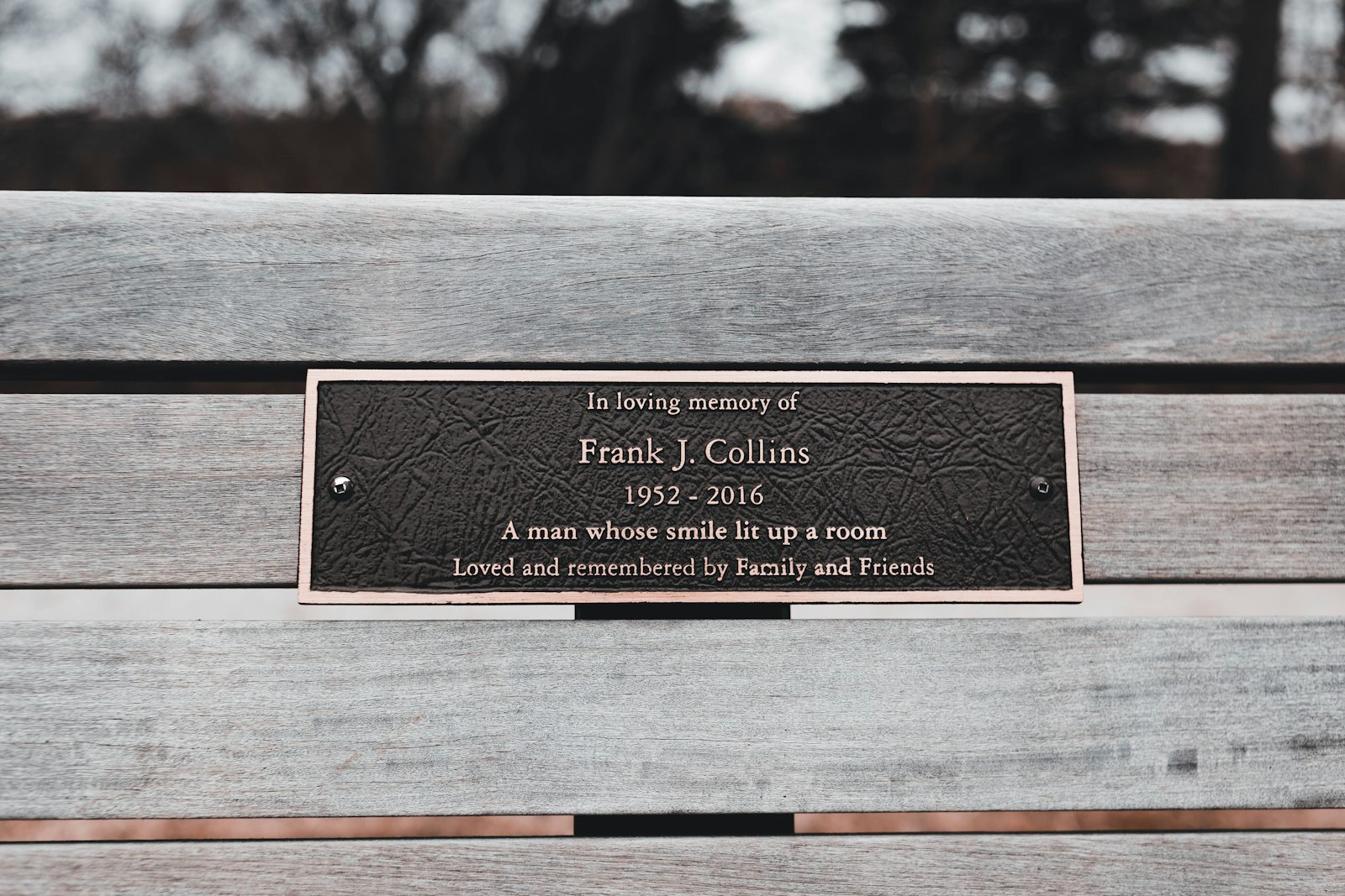 A memorial plaque on a wooden park bench.