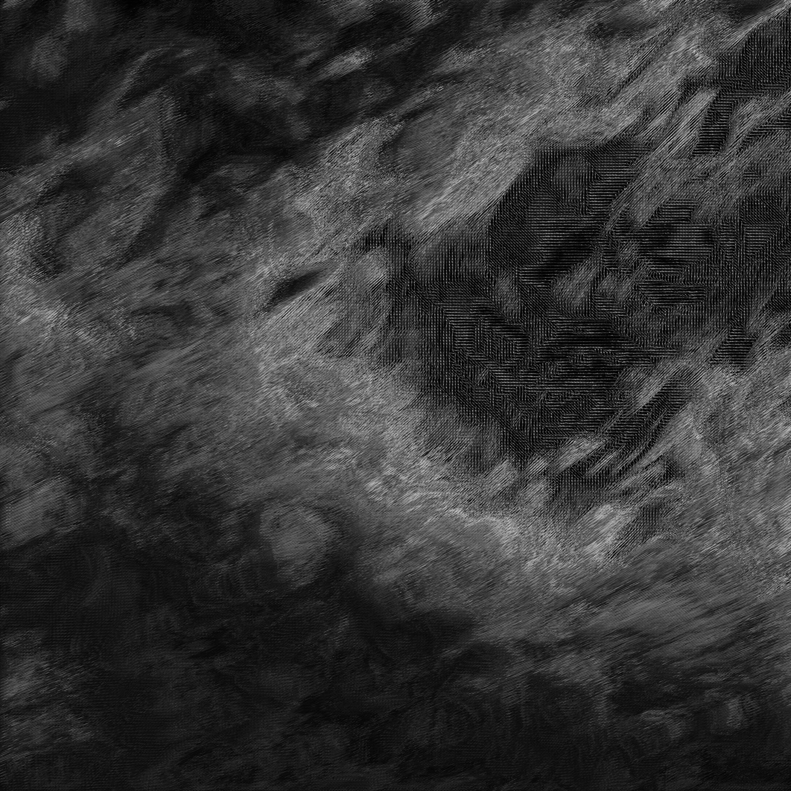 A black and white photo of a black and white background.