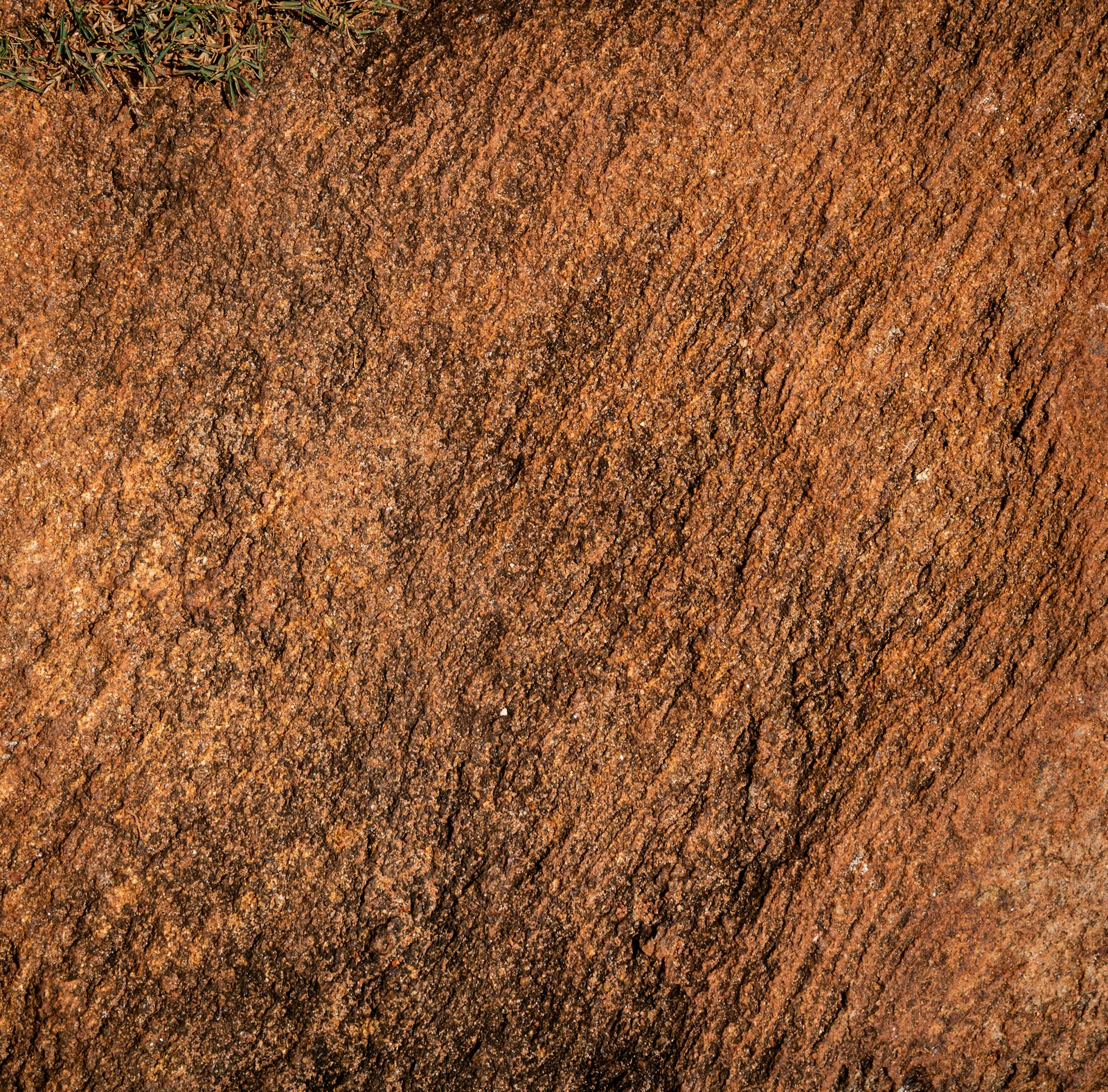 Textured reddish-brown rock surface with subtle patterns and dark spots.