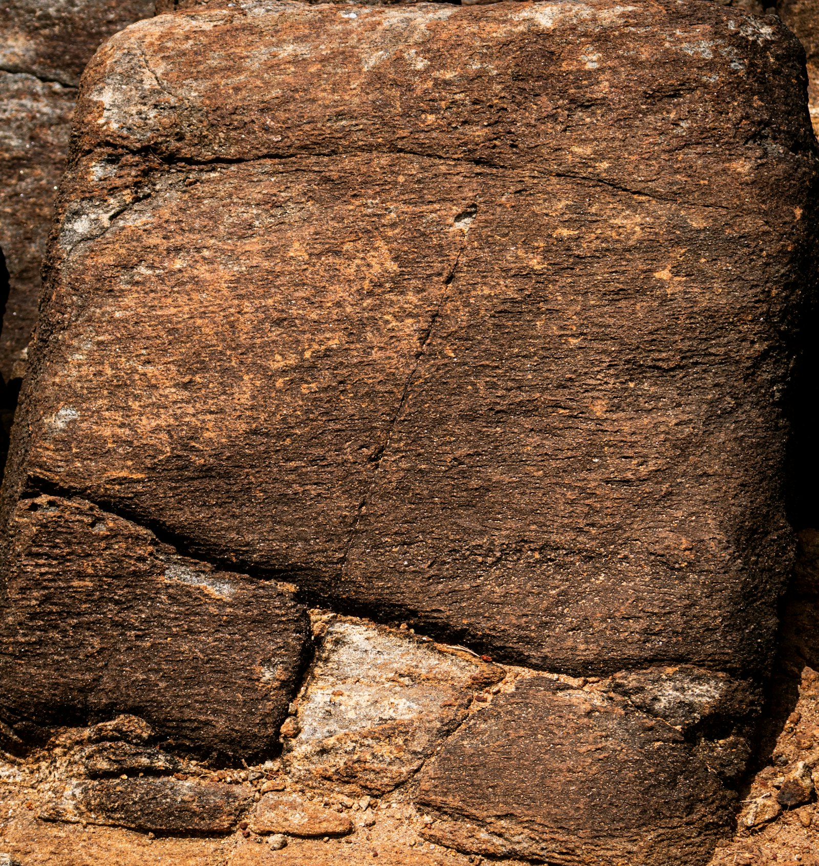 Rough, textured brown rock surface with cracks and lighter areas.