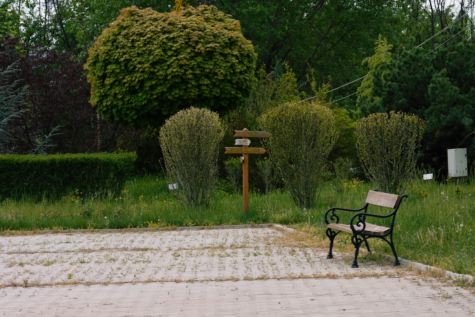 Park bench surrounded by lush green trees and bushes.